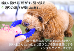 20160203_04.PNGのサムネイル画像